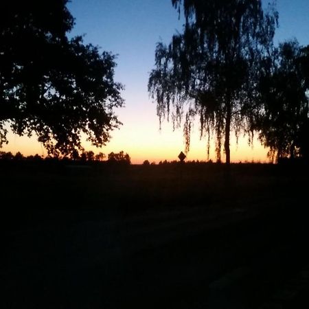 Entspannen & Wohlfuehlen In Der Lueneburger Heide Vierhofen エクステリア 写真